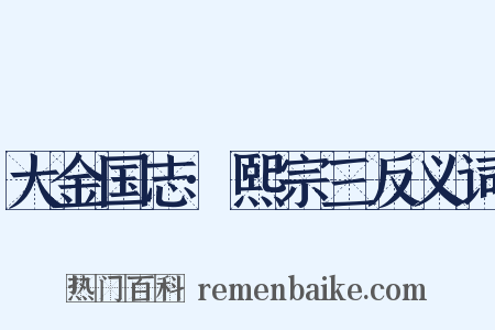 大金国志·熙宗三反义词是什么意思的图片